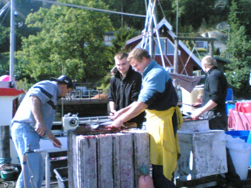 pfisketurifjorden20052.jpg